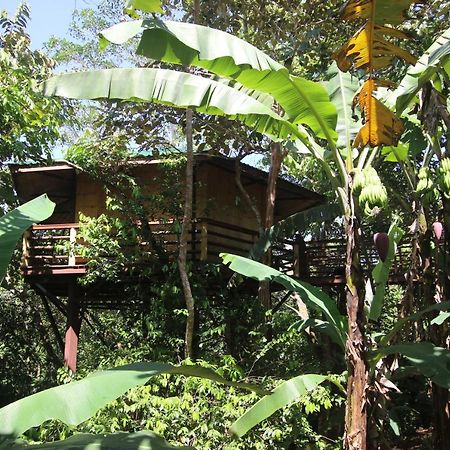 Treehouse Pilon Pavones Villa Pavones  Buitenkant foto