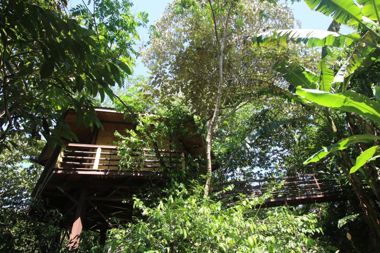 Treehouse Pilon Pavones Villa Pavones  Buitenkant foto