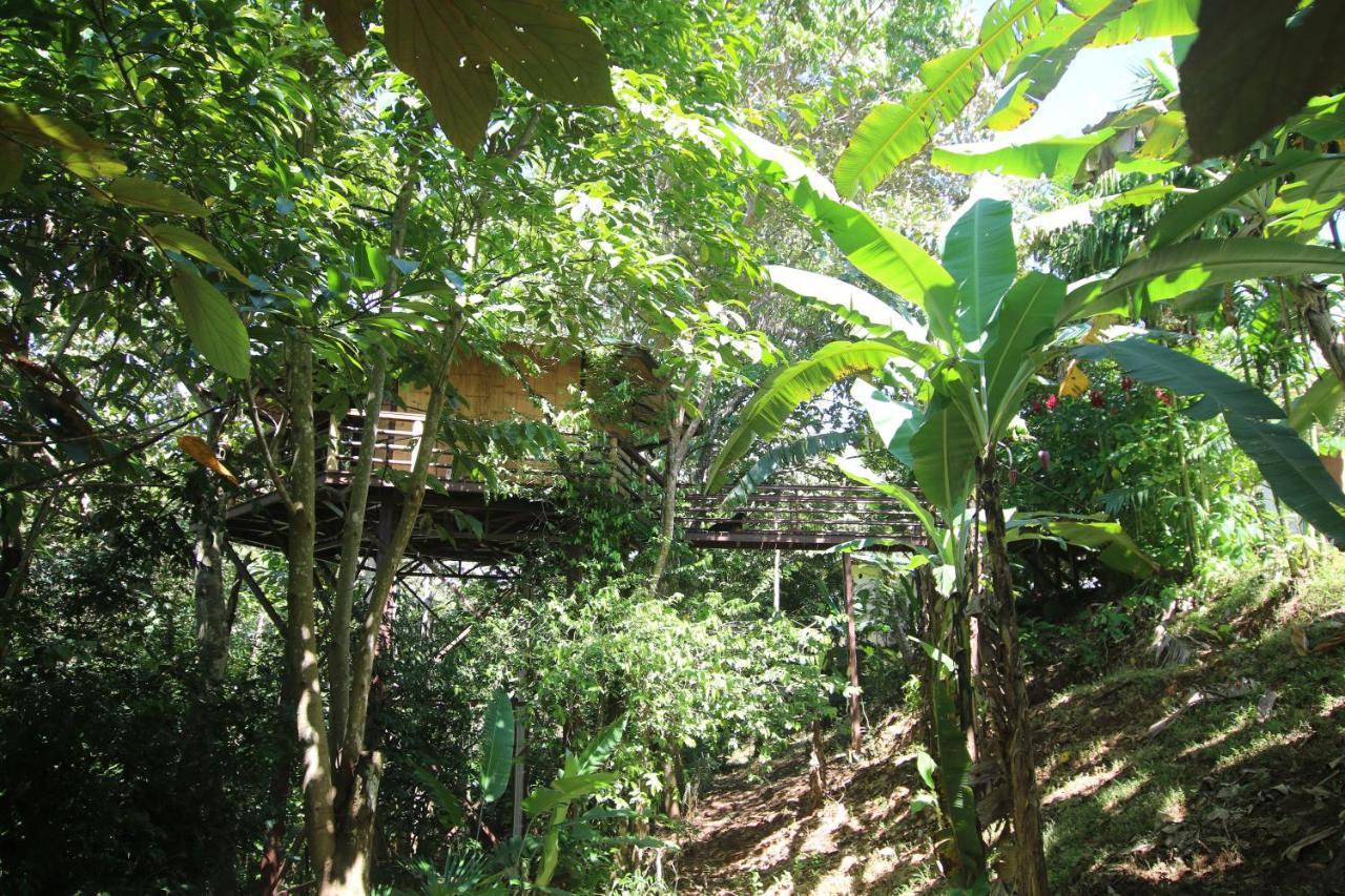 Treehouse Pilon Pavones Villa Pavones  Buitenkant foto
