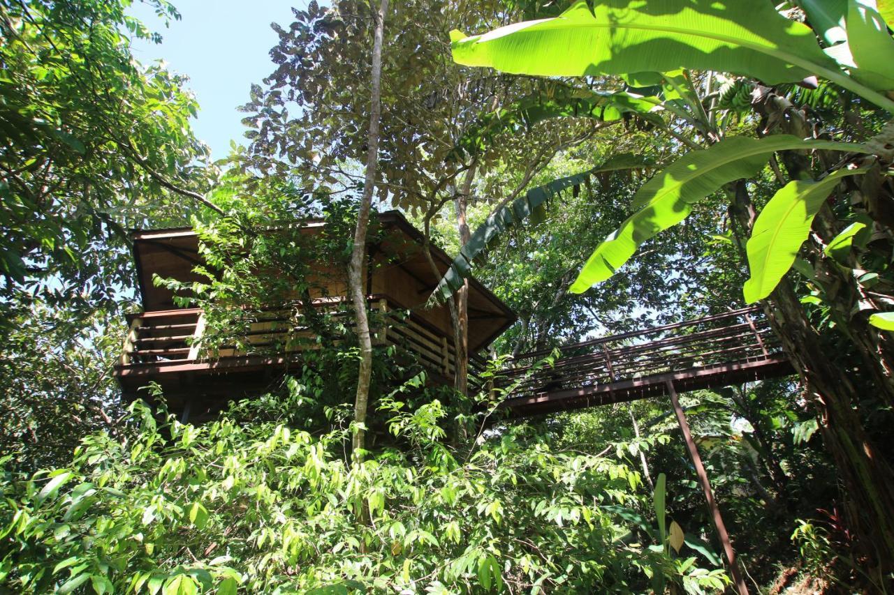 Treehouse Pilon Pavones Villa Pavones  Buitenkant foto
