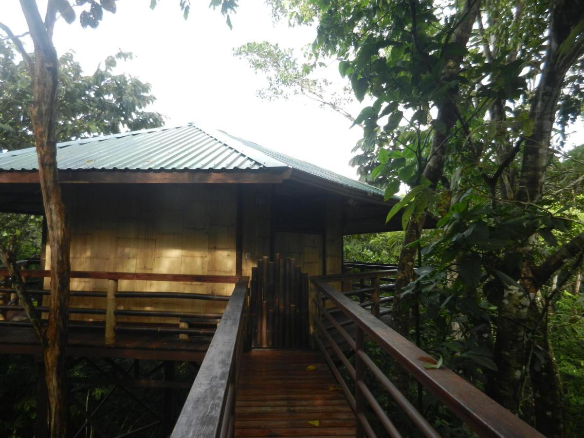 Treehouse Pilon Pavones Villa Pavones  Buitenkant foto