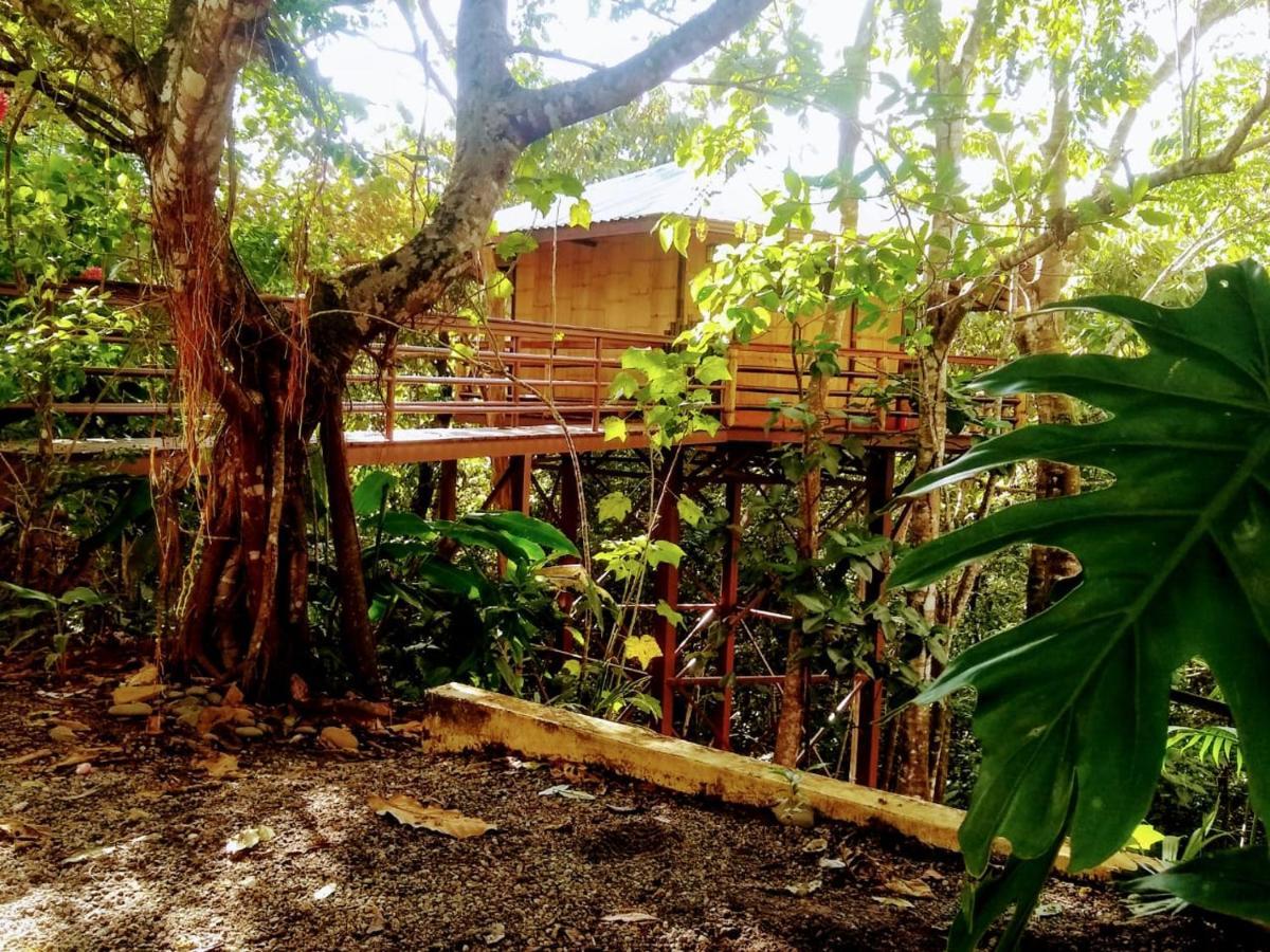 Treehouse Pilon Pavones Villa Pavones  Buitenkant foto